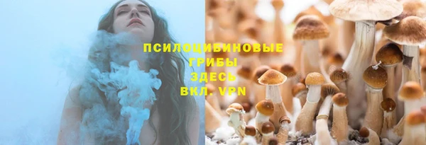 соль ск Заводоуковск