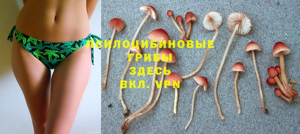 эйфоретик Зеленокумск
