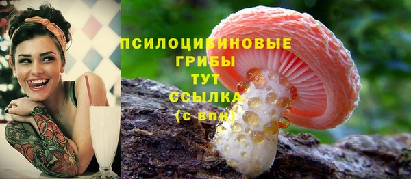синтетический гашиш Заволжье