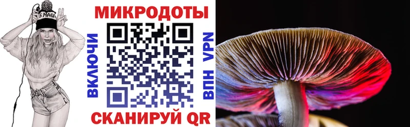 Галлюциногенные грибы Magic Shrooms  Купить где  Долгопрудный 