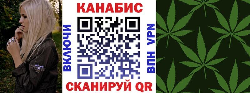Купить закладки  Долгопрудный  Канабис SATIVA & INDICA 
